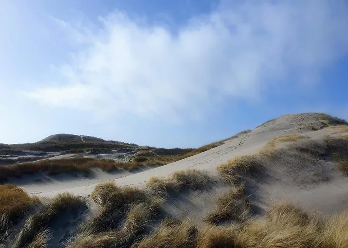 6 Person In Ringkobing-by Traum *