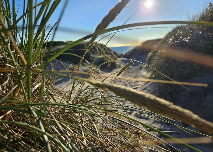 6 Person In Ringkobing-by Traum